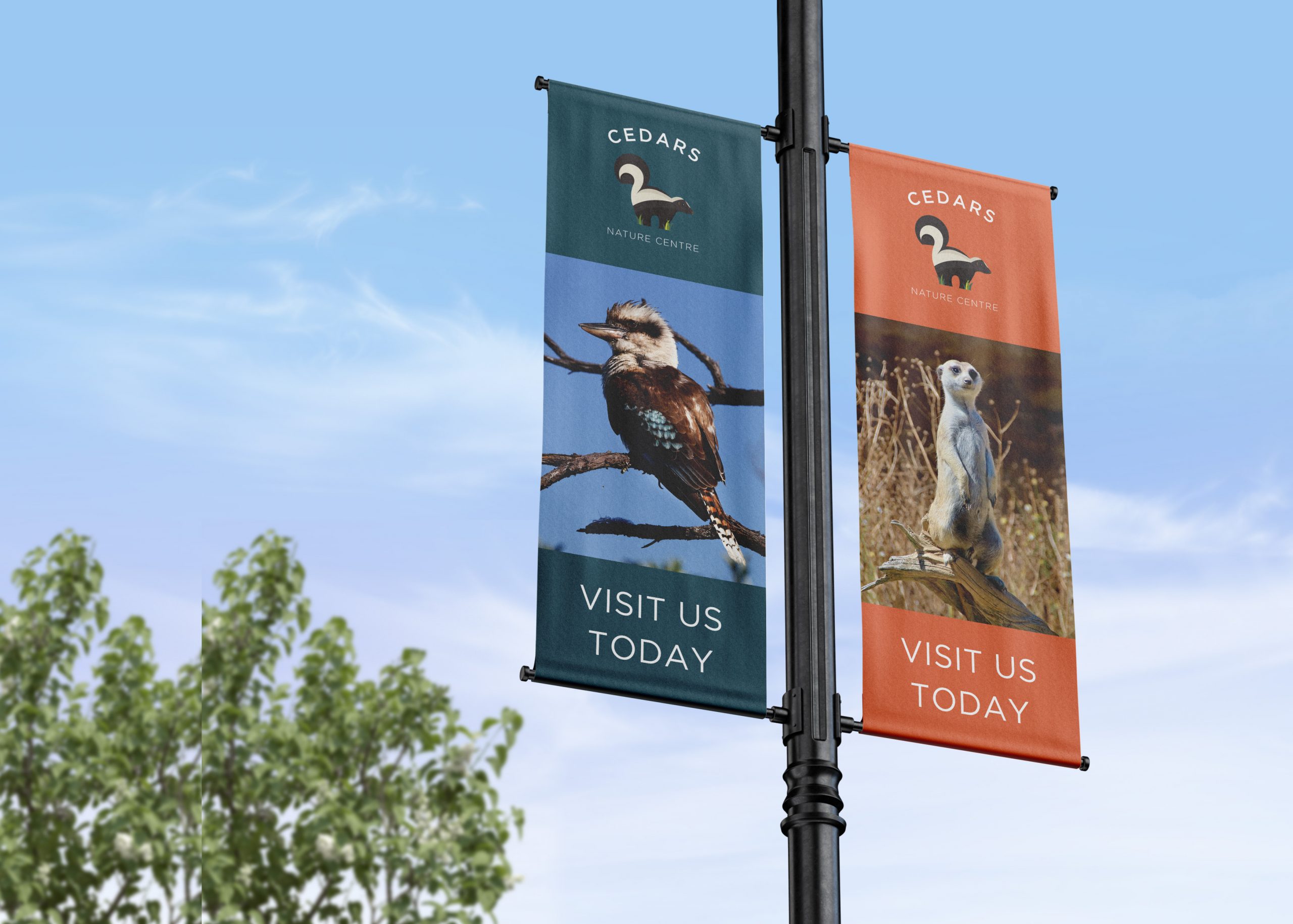 Cedars Nature Centre brand design on banner